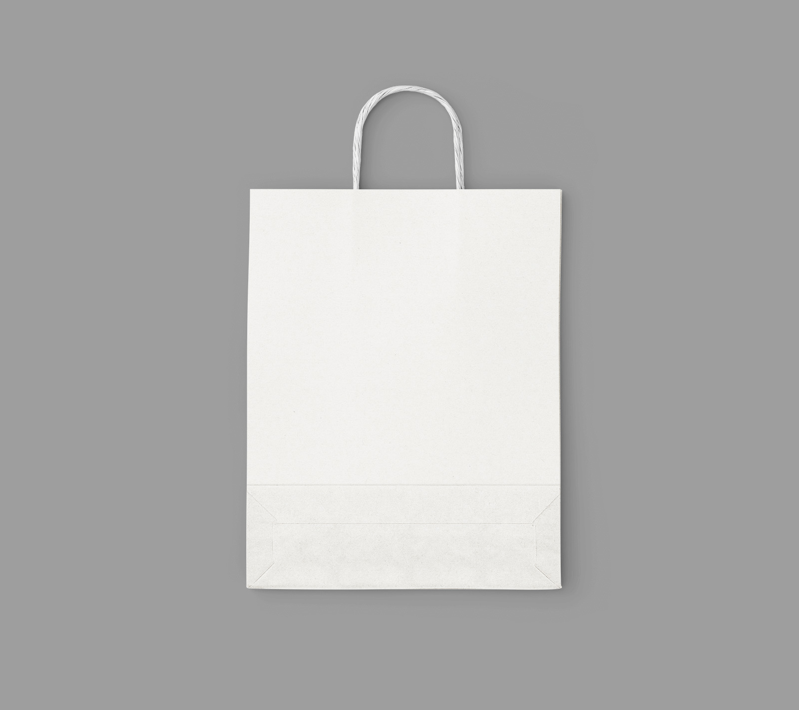 Free Kraft Paper Bag Mockup Set