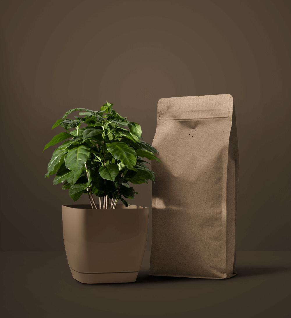 Free Coffee Bag next to Coffee Plant Mockup